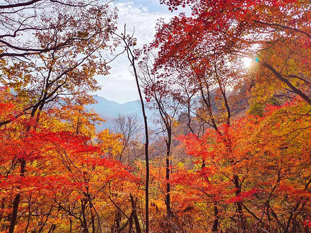 庆汉华二十五载华章 赏天桥沟漫山枫红 ——丹东户外拓展活动圆满结束